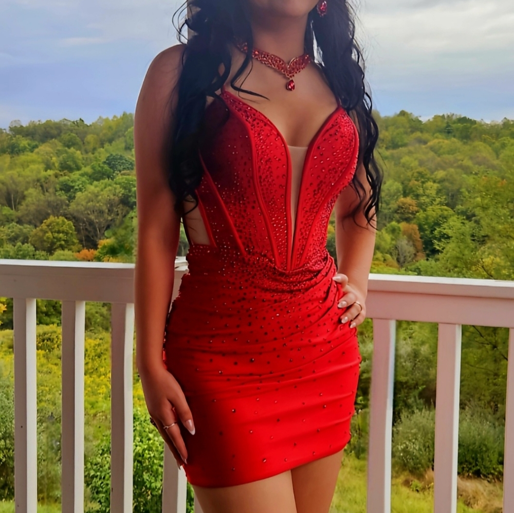 Ashley Lauren Homecoming Dress